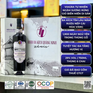 Rượu ba kích giảm đau lưng - Rượu Ba Kích Quảng Ninh Thượng Hạng OCOP 4 sao