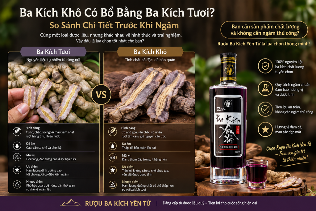 Ba Kích Khô Có Bổ Bằng Ba Kích Tươi? So Sánh Chi Tiết Trước Khi Ngâm