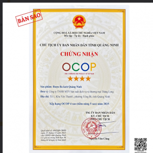 giấy chứng nhận OCOP 4 sao rượu ba kích rừng Yên Tử Quảng Ninh