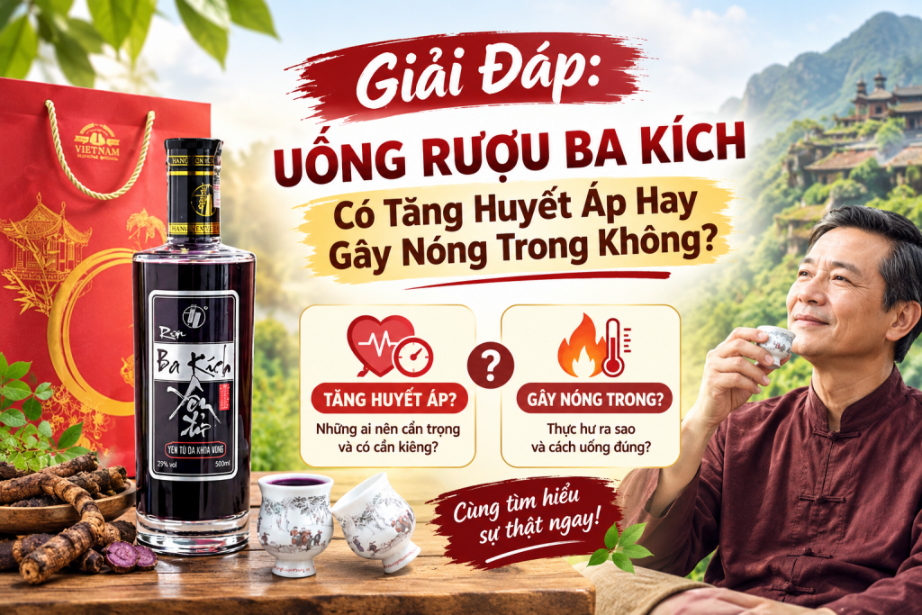 Giải Đáp: Uống Rượu Ba Kích Có Tăng Huyết Áp Hay Gây Nóng Trong Không?