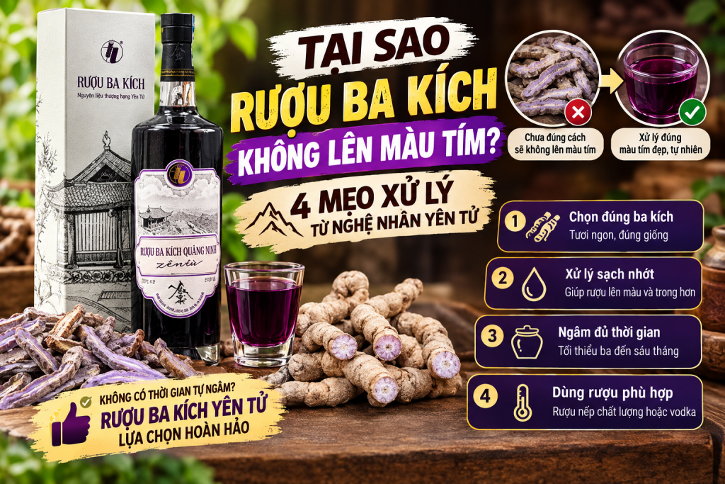 Tại Sao Rượu Ba Kích Không Lên Màu Tím? 4 Mẹo Xử Lý Từ Nghệ Nhân Yên Tử