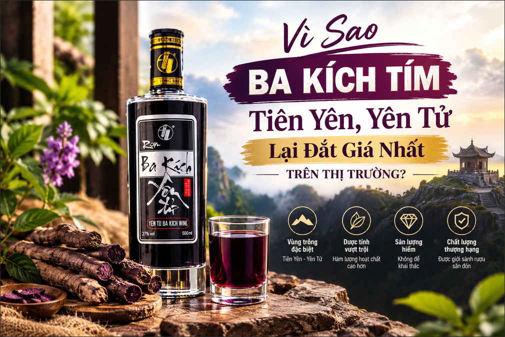 Vì Sao Ba Kích Tím Tiên Yên, Yên Tử Lại Đắt Giá Nhất Trên Thị Trường?