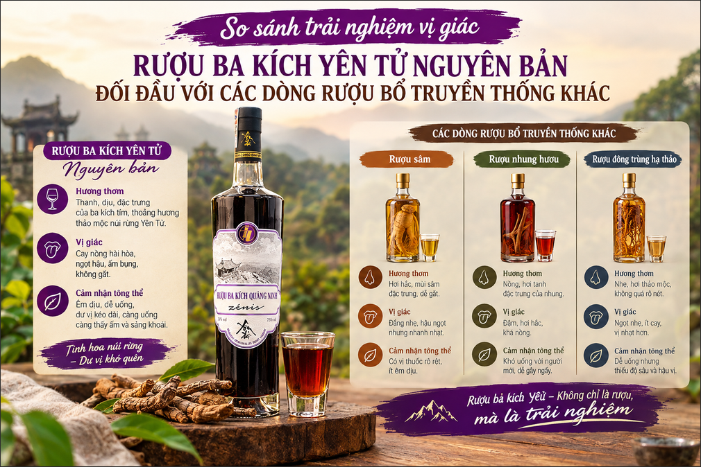 So sánh trải nghiệm vị giác: Rượu ba kích Yên Tử nguyên bản đối đầu với các dòng rượu bổ truyền thống khác